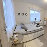 Daros Dvůr Králové nad Labem